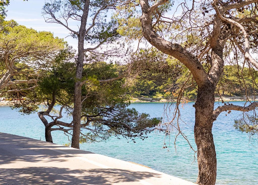 Apartmán Cavtat - Panoramic Sea View Exteriér fotografie